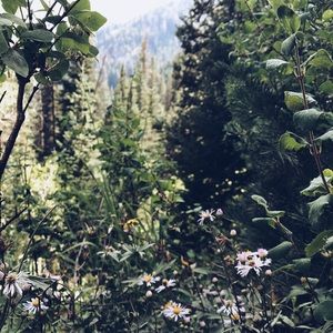 Meet your Posher, Izzy!